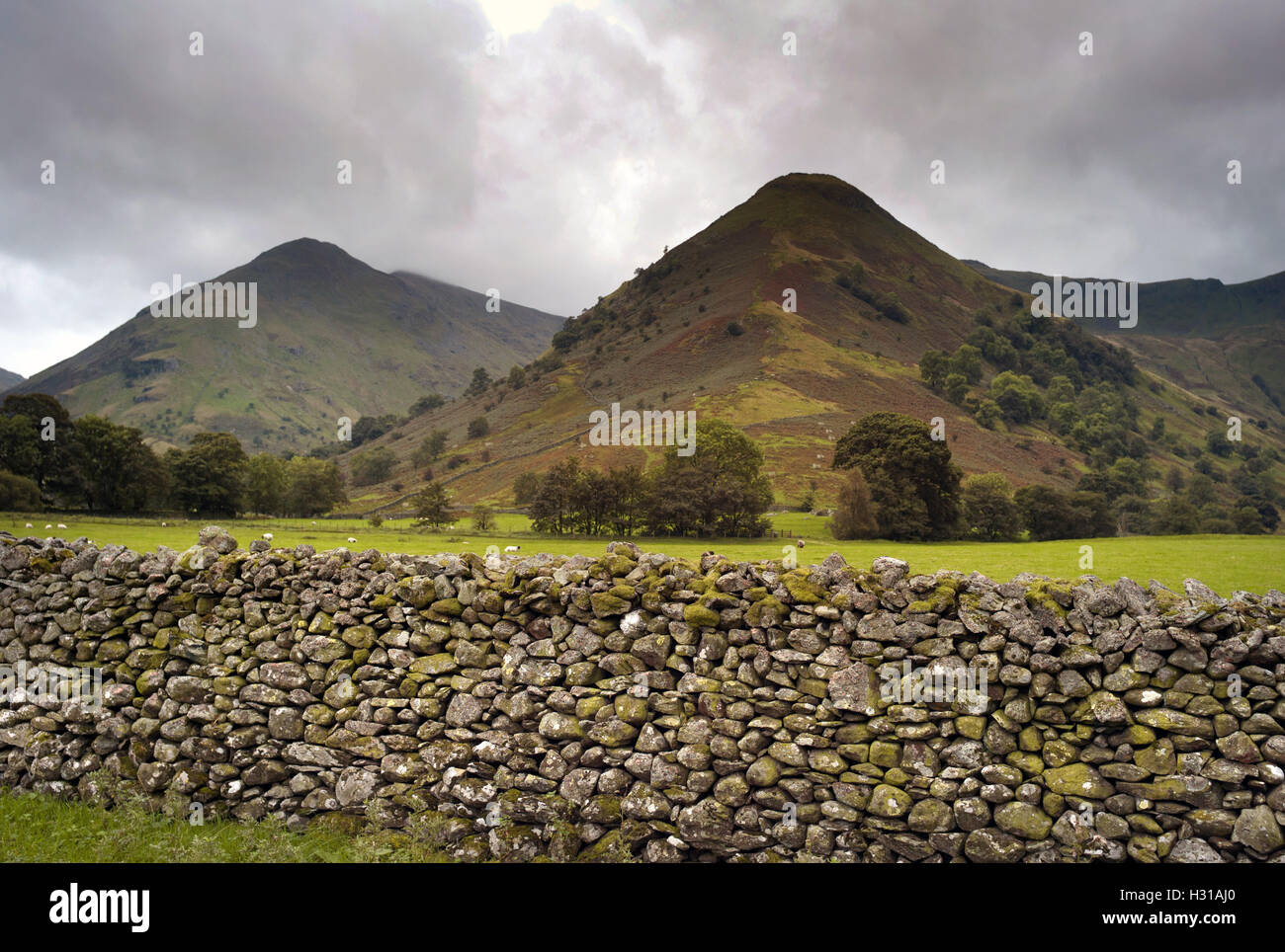 Alta Hartsop Dodd e medio Dodd, area Patterdale, Parco Nazionale del Distretto dei Laghi Foto Stock