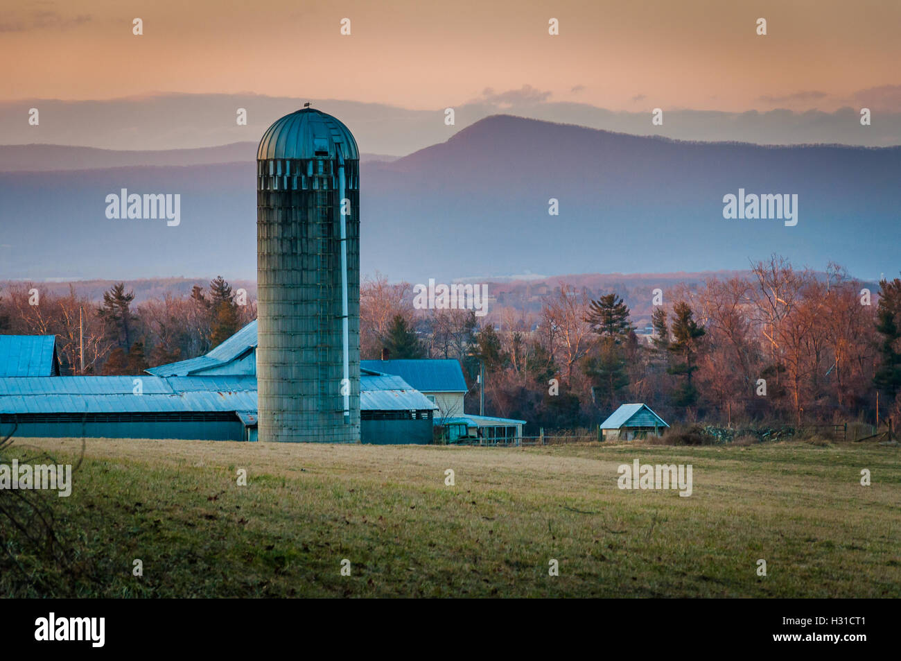 Granaio e silo in una fattoria di Shenandoah Valley al tramonto, con Massanutten montagna dietro, nei pressi di Luray, Virginia Foto Stock
