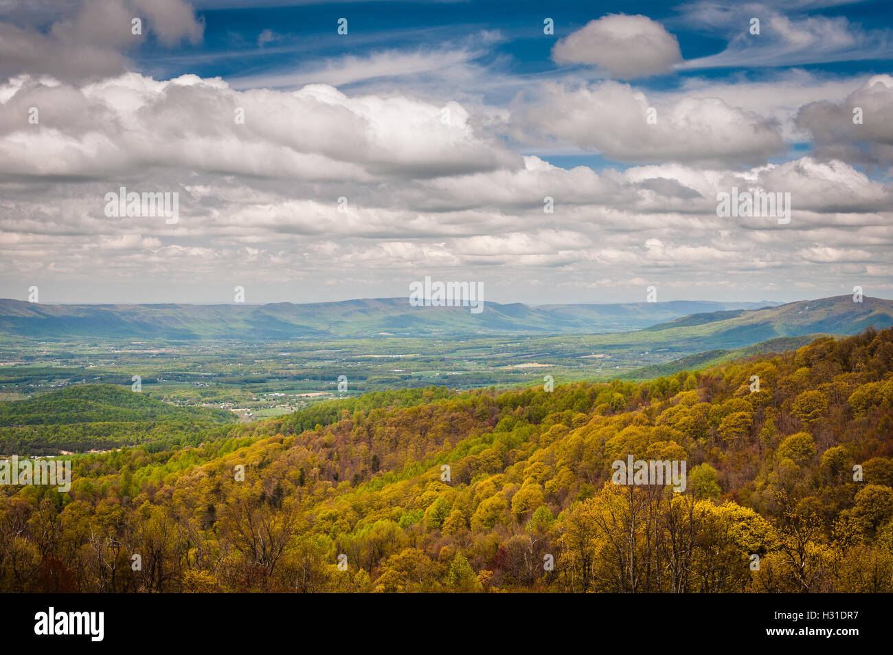 Vista della molla delle Blue Ridge Mountains e Shenandoah Valley, da Skyline Drive nel Parco Nazionale di Shenandoah, Virginia. Foto Stock