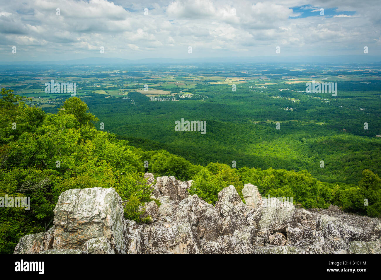 Vista della valle di Shenandoah e Blue Ridge Mountains dal vertice rocciose di Turk montagna nel Parco Nazionale di Shenandoah, Virgi Foto Stock