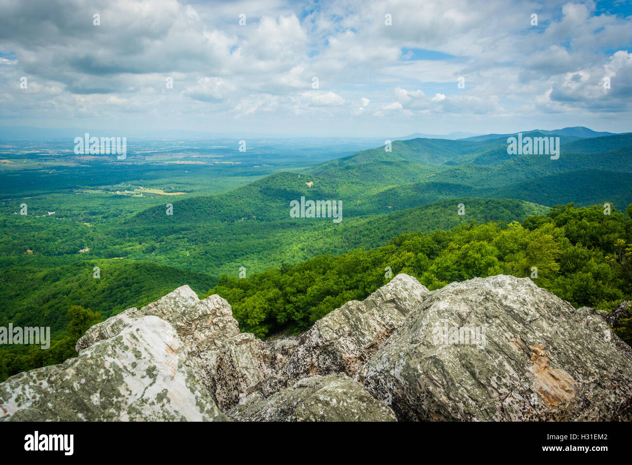Vista della valle di Shenandoah e Blue Ridge Mountains dal vertice rocciose di Turk montagna nel Parco Nazionale di Shenandoah, Virgi Foto Stock