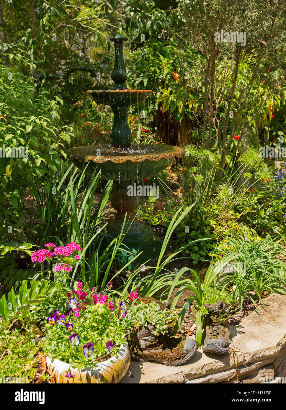 Giardino ornato di fontana circondata da massa di smeraldo fogliame verde, alberi e fiori colorati in contenitori decorativi Foto Stock