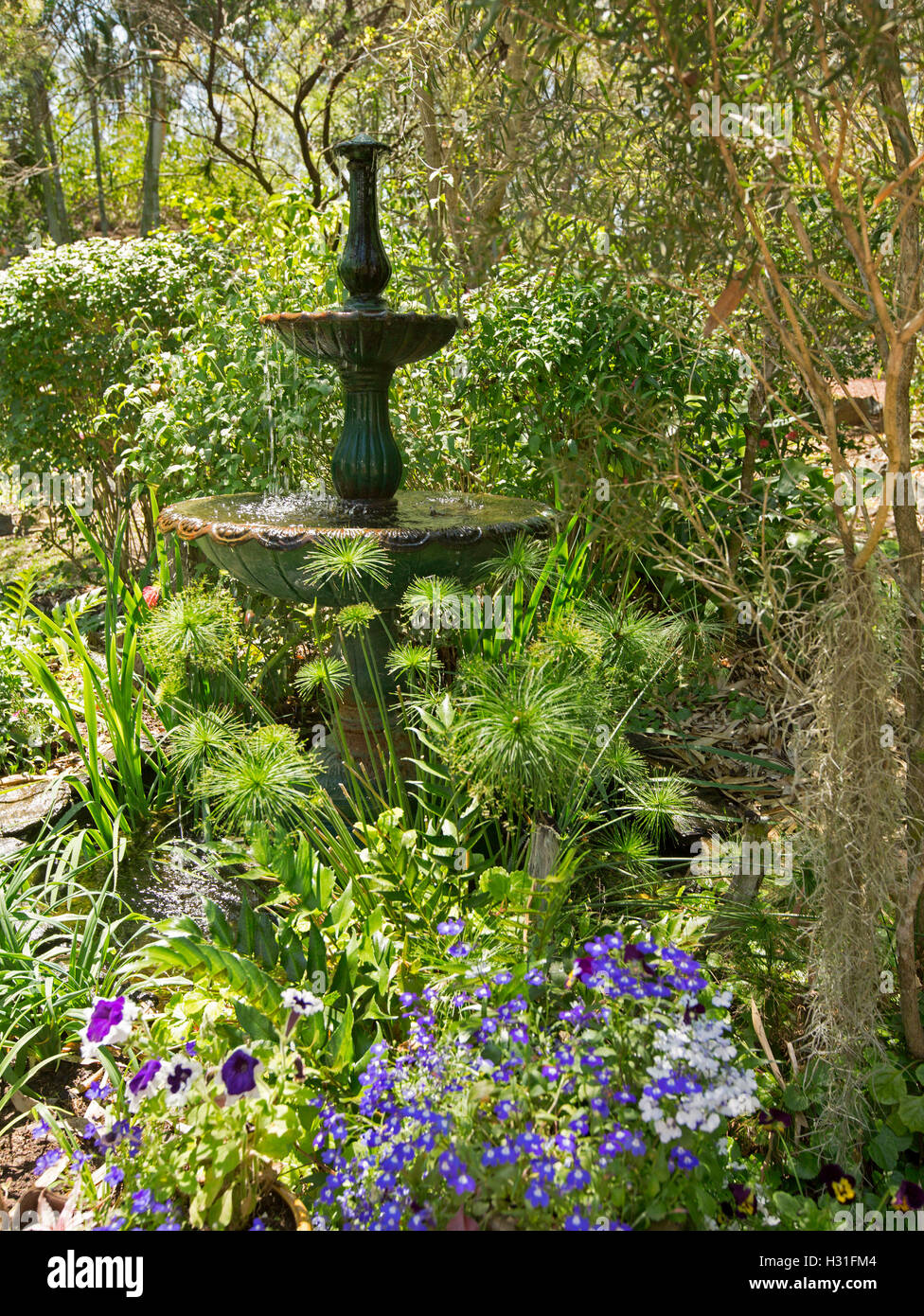 Giardino con fontana decorativa circondato da massa densa di smeraldo fogliame verde, alberi e fiori colorati delle piante annuali Foto Stock