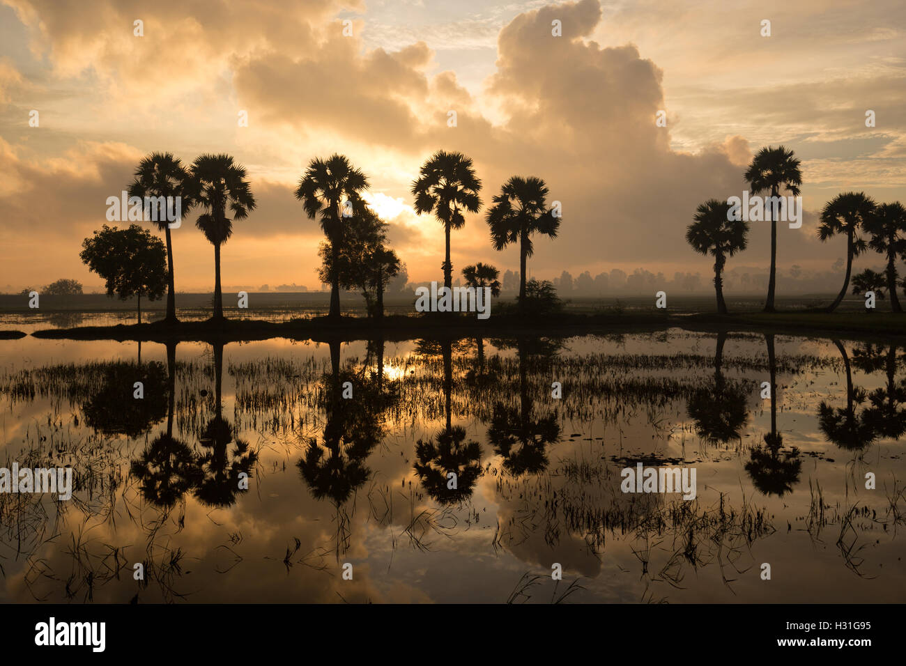 Sunrise colorato paesaggio con sagome di palme sulla Chau Doc city, Vietnam. Foto Stock