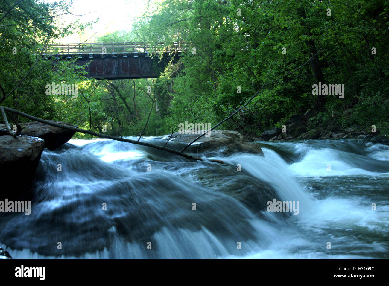 Blackwater Creek a Hollins Mill Park, Lynchburg, Virginia, Stati Uniti Foto Stock