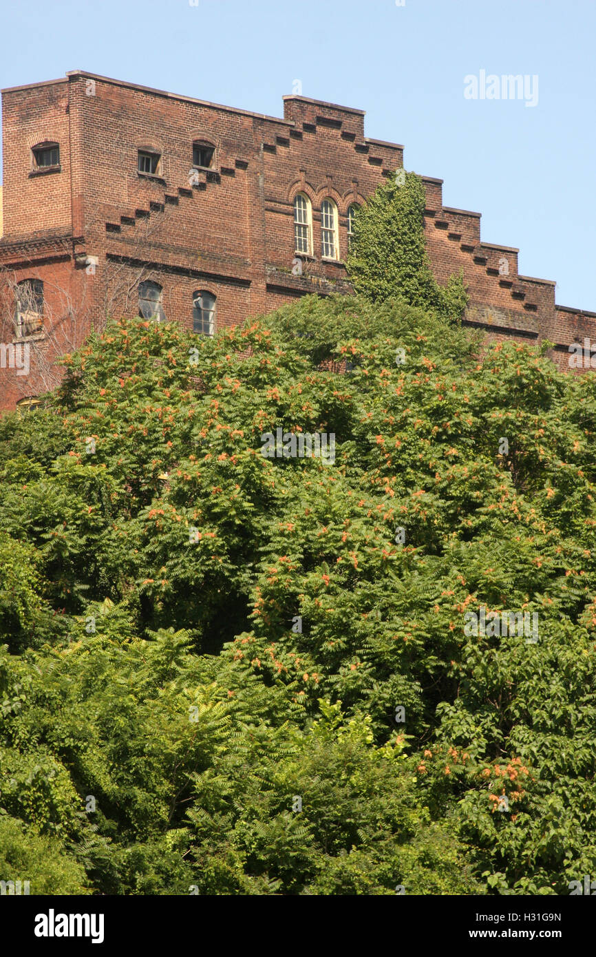 Lynchburg, Virginia, Stati Uniti. Dettaglio dei Lofts imperiali del tabacco, una volta Imperial Tobacco Company, costruito nel 1898. Foto Stock
