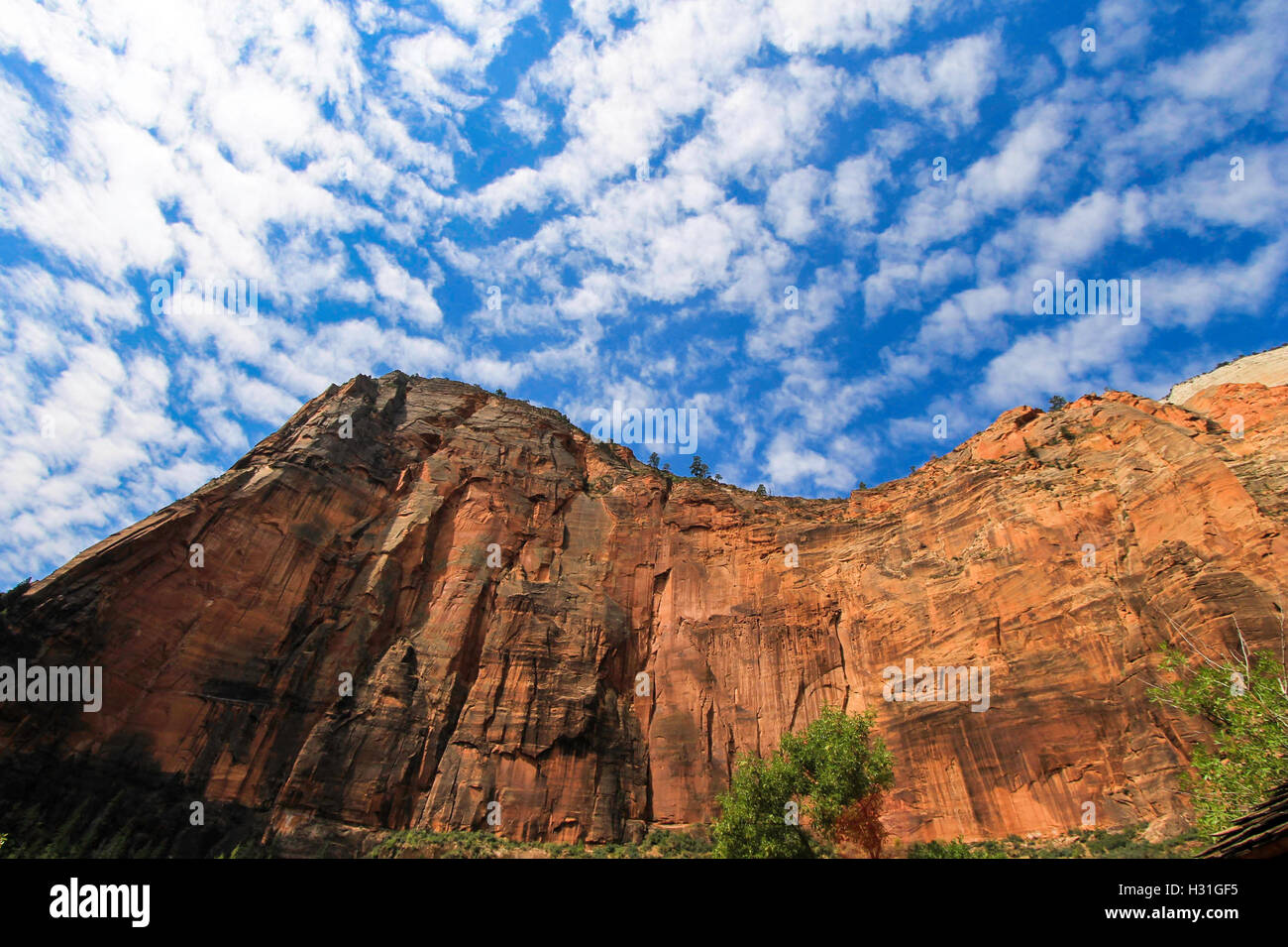 Canyon al parco nazionale Zion ,Utah Foto Stock