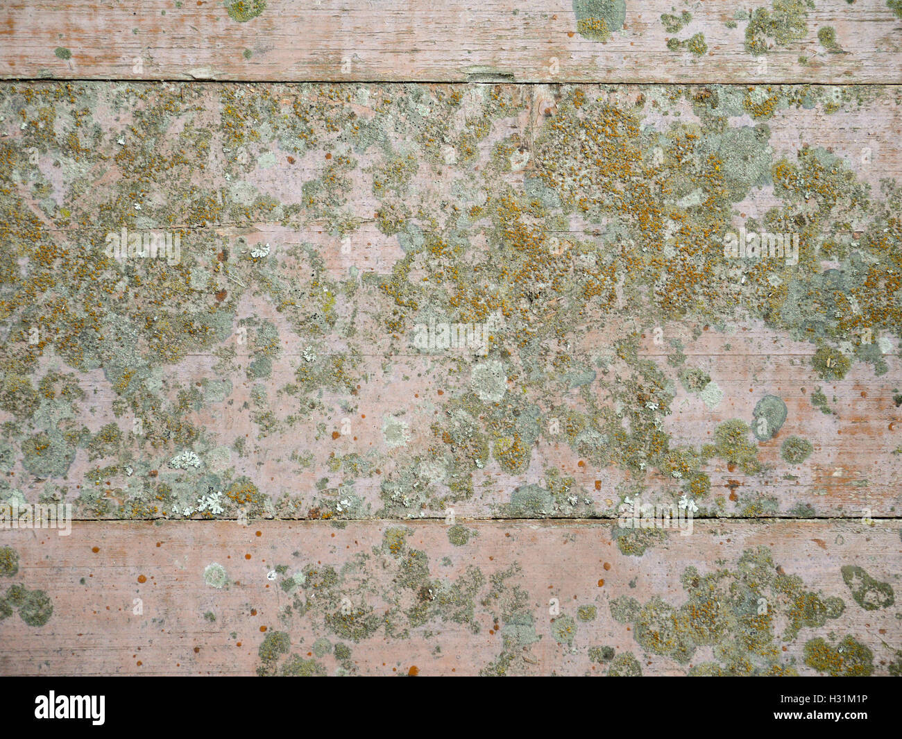Pavimento in legno con macchie di licheni e gocce di vernice Foto Stock