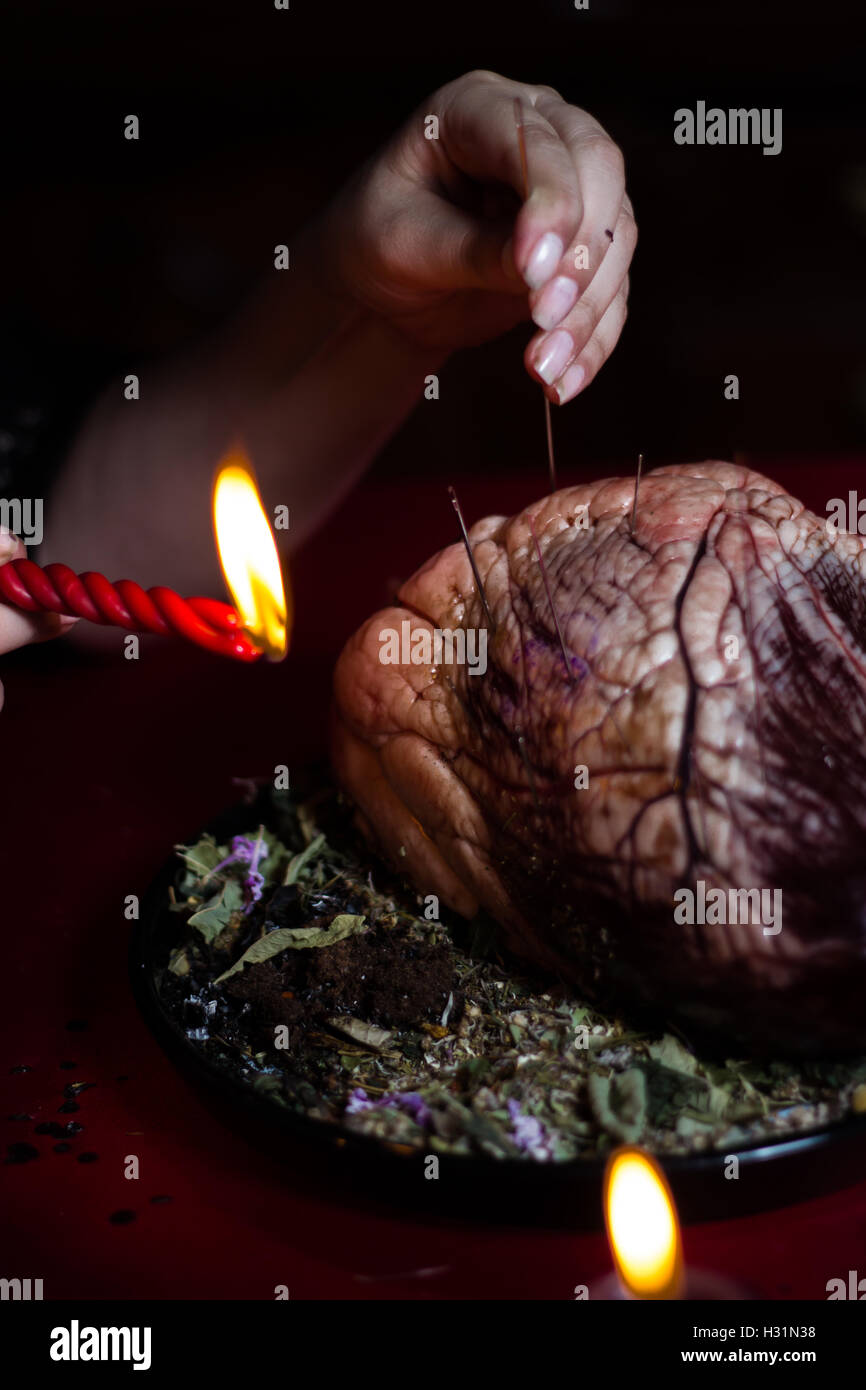 Rito magico con cuore bovino Foto Stock