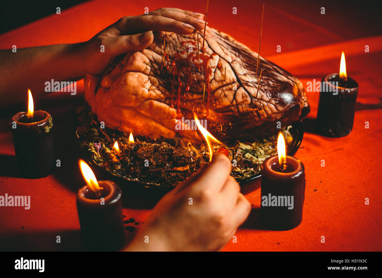 Rito magico con cuore bovino Foto Stock