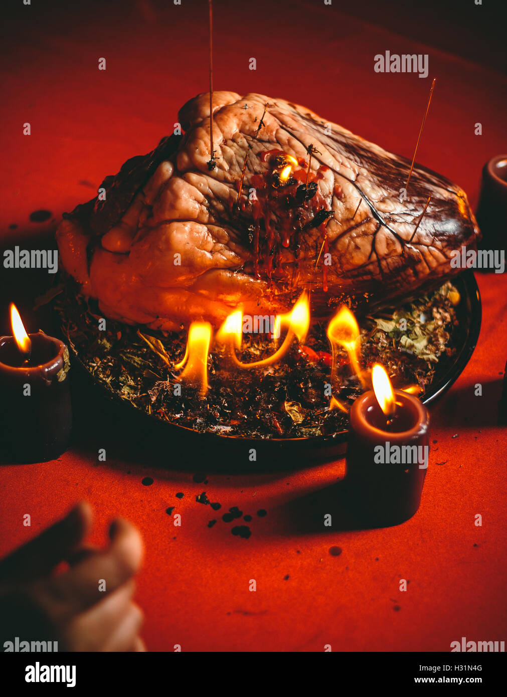 Rito magico con cuore bovino Foto Stock