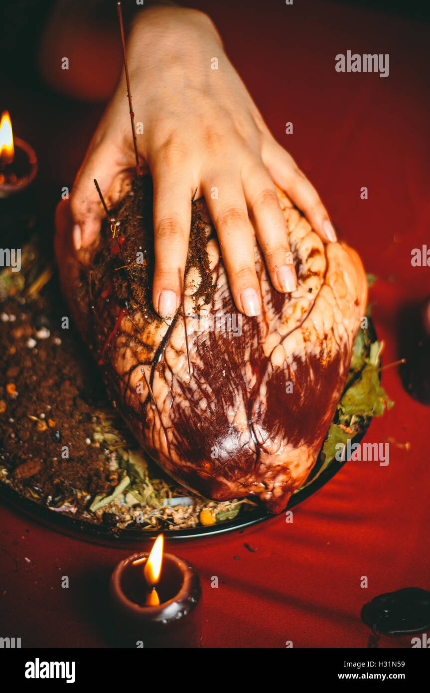Rito magico con cuore bovino Foto Stock