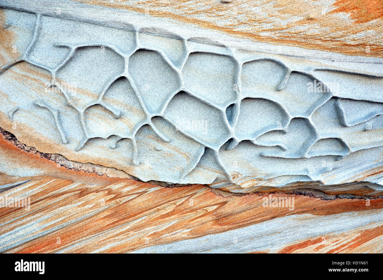 Forme e modelli di weathered Sydney arenaria scolpite dal vento e acqua, su New South Wales coast. Sfondo testurizzata Foto Stock