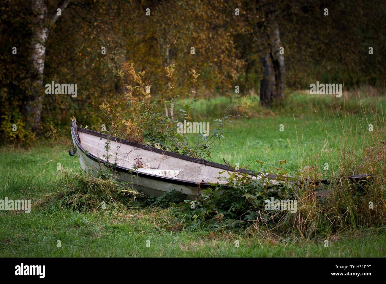 Un abbandonato le barche a remi a terra Foto Stock