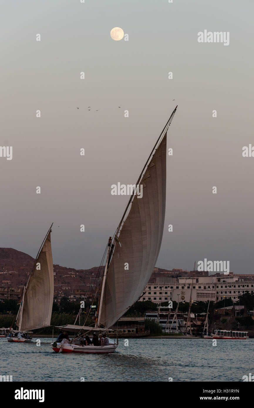 L'Egitto. Aswan sorge sulla riva orientale del Nilo. Una felucca è un tradizionale in legno barca a vela, con la luna come sfondo. Foto Stock