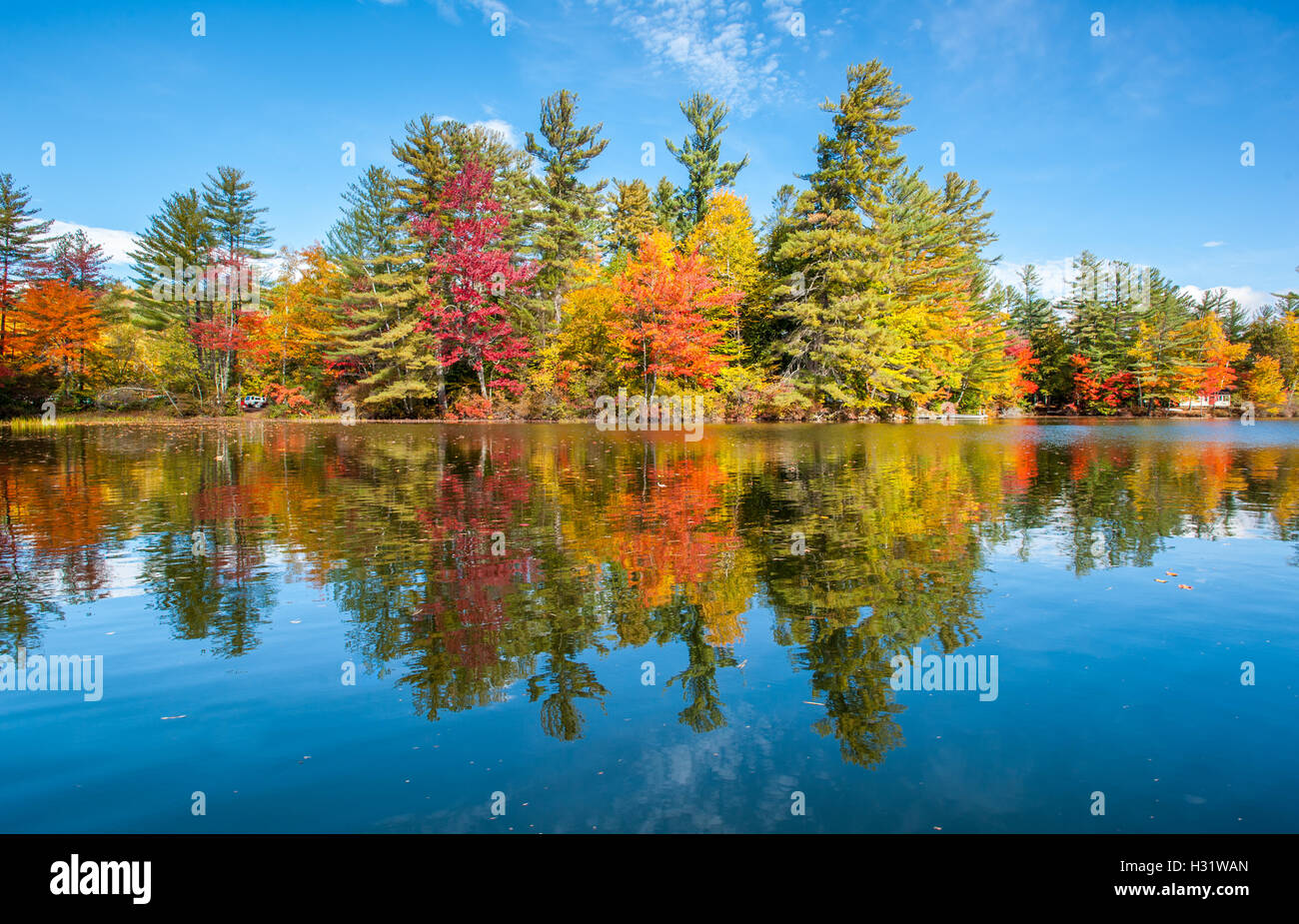 Riflessioni del cielo e caduta delle foglie su Bryant stagno nel Maine. Foto Stock