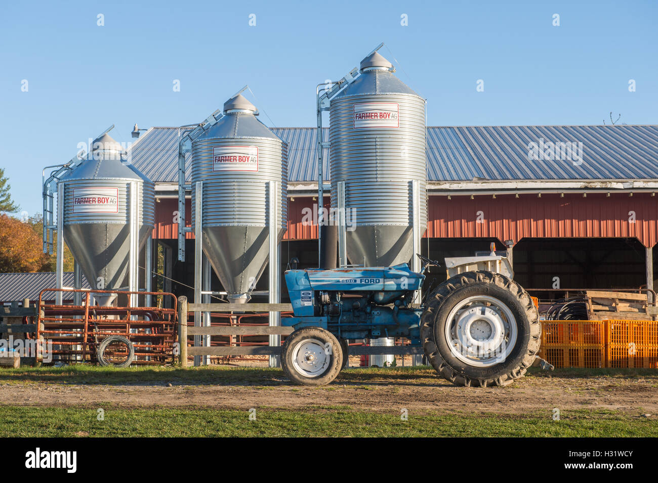Scomparti di alimentazione e un trattore blu in una fattoria in Freeport, Maine. Foto Stock