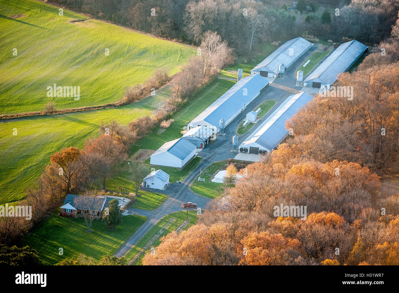 Vista aerea di una fattoria in Centreville, Maryland. Foto Stock