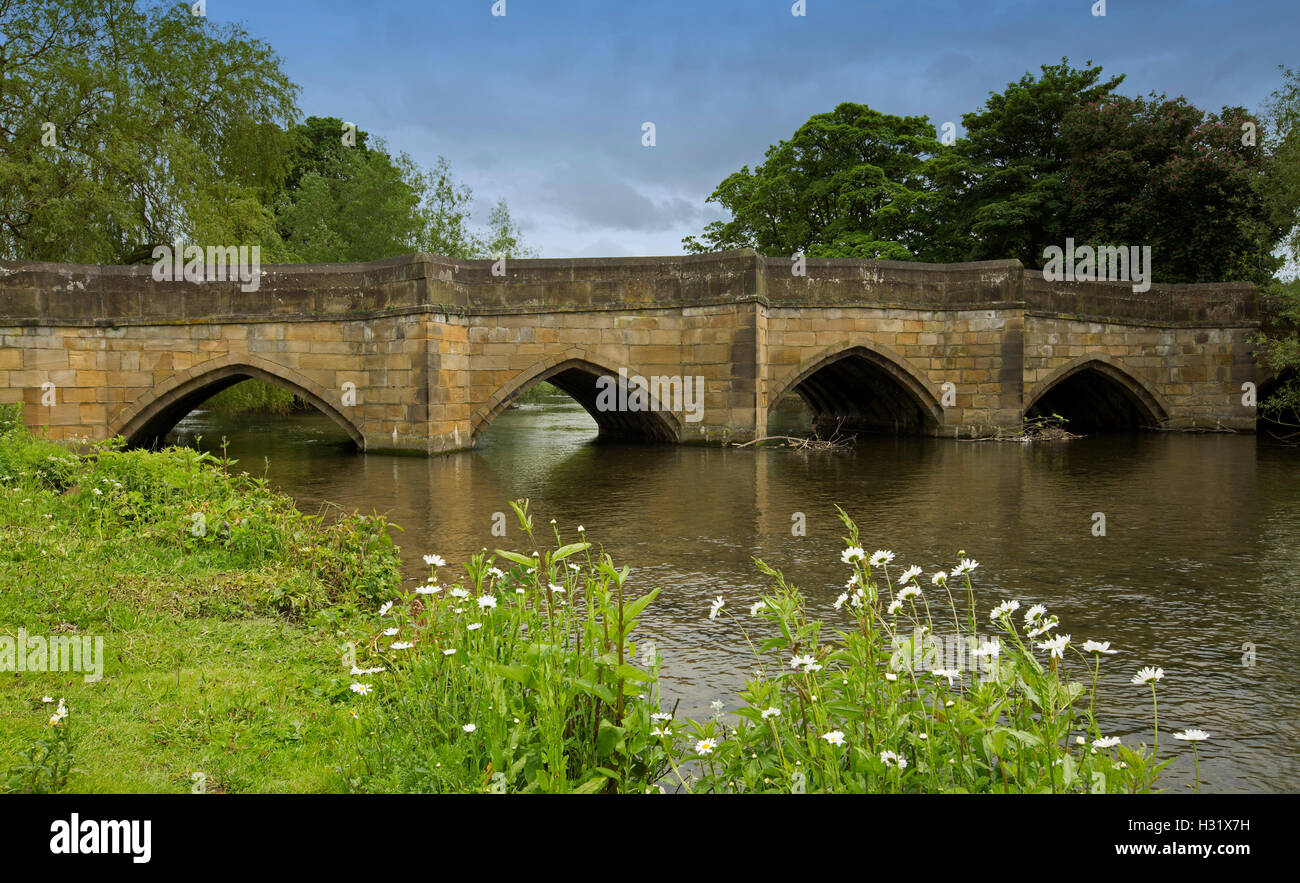 Ponte storico in pietra e accordi di Wye River con fiori selvaggi, bianche margherite, Smeraldo erbe sul lungofiume, cielo blu a Bakewell, Inghilterra Foto Stock