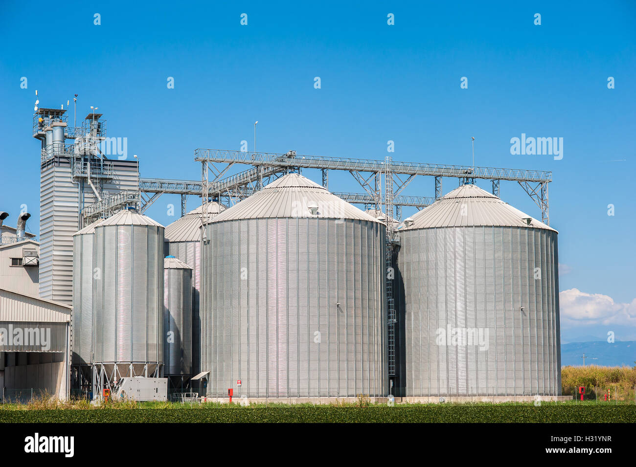 Silo agricoli - Edificio Esterno, stoccaggio ed essiccazione di grani, frumento, mais, soia, girasole Foto Stock