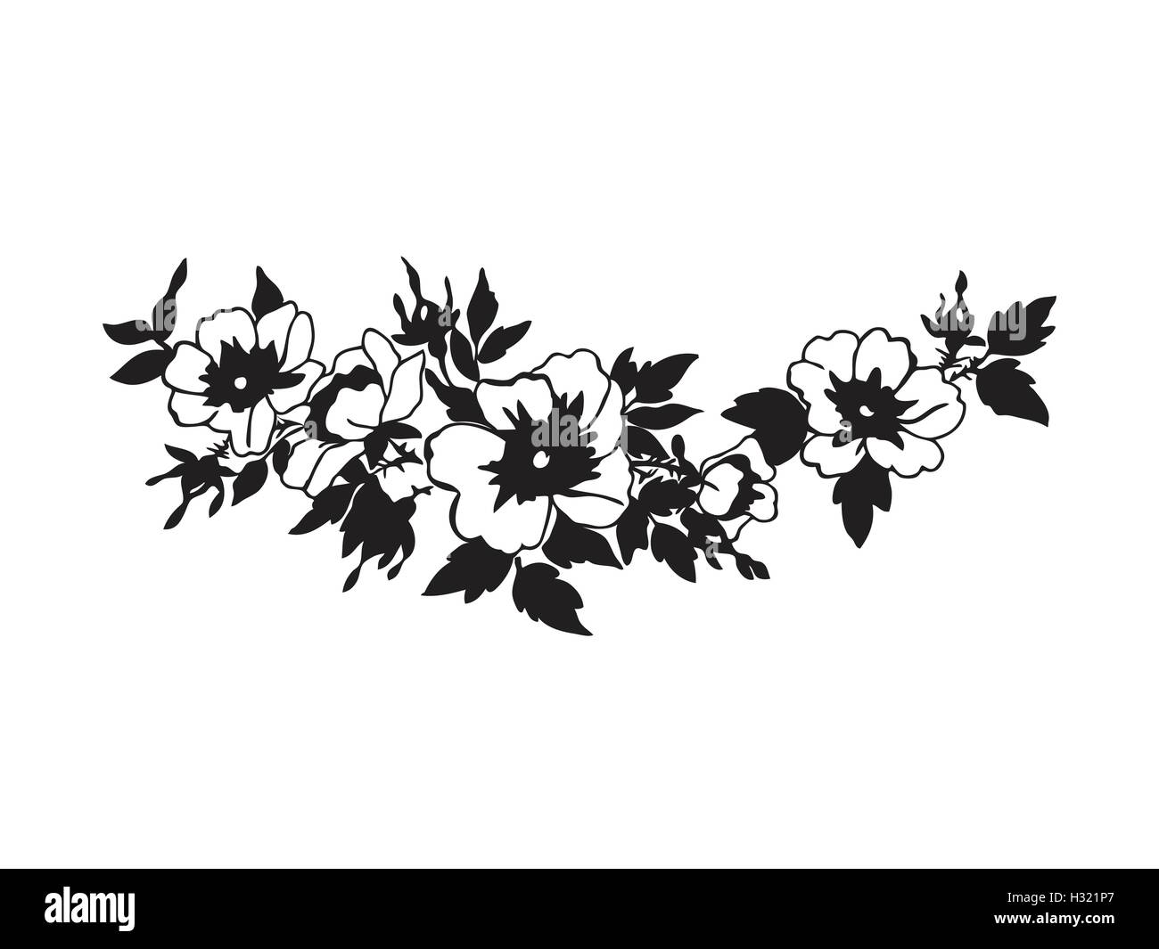Splendida fioritura rosa selvatica ramo con fiori di colore bianco. Disegnata a mano illustrazione vettoriale. I colori nero e bianco Illustrazione Vettoriale