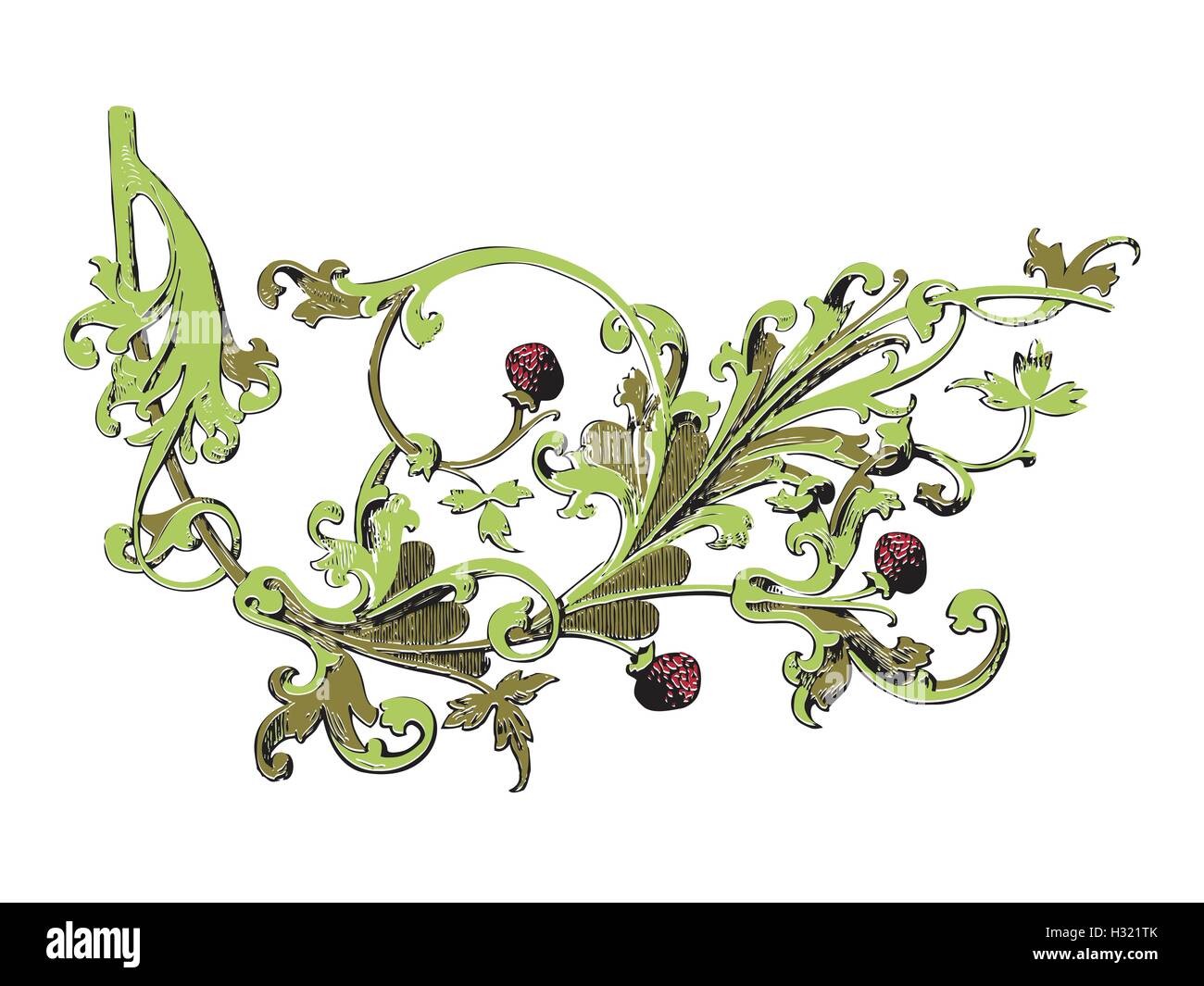 Disegnata a mano illustrazione dei cespugli di fragole vettore. Il ramo con le gemme e bacche. Ornamento vegetale colorato su sfondo bianco Illustrazione Vettoriale