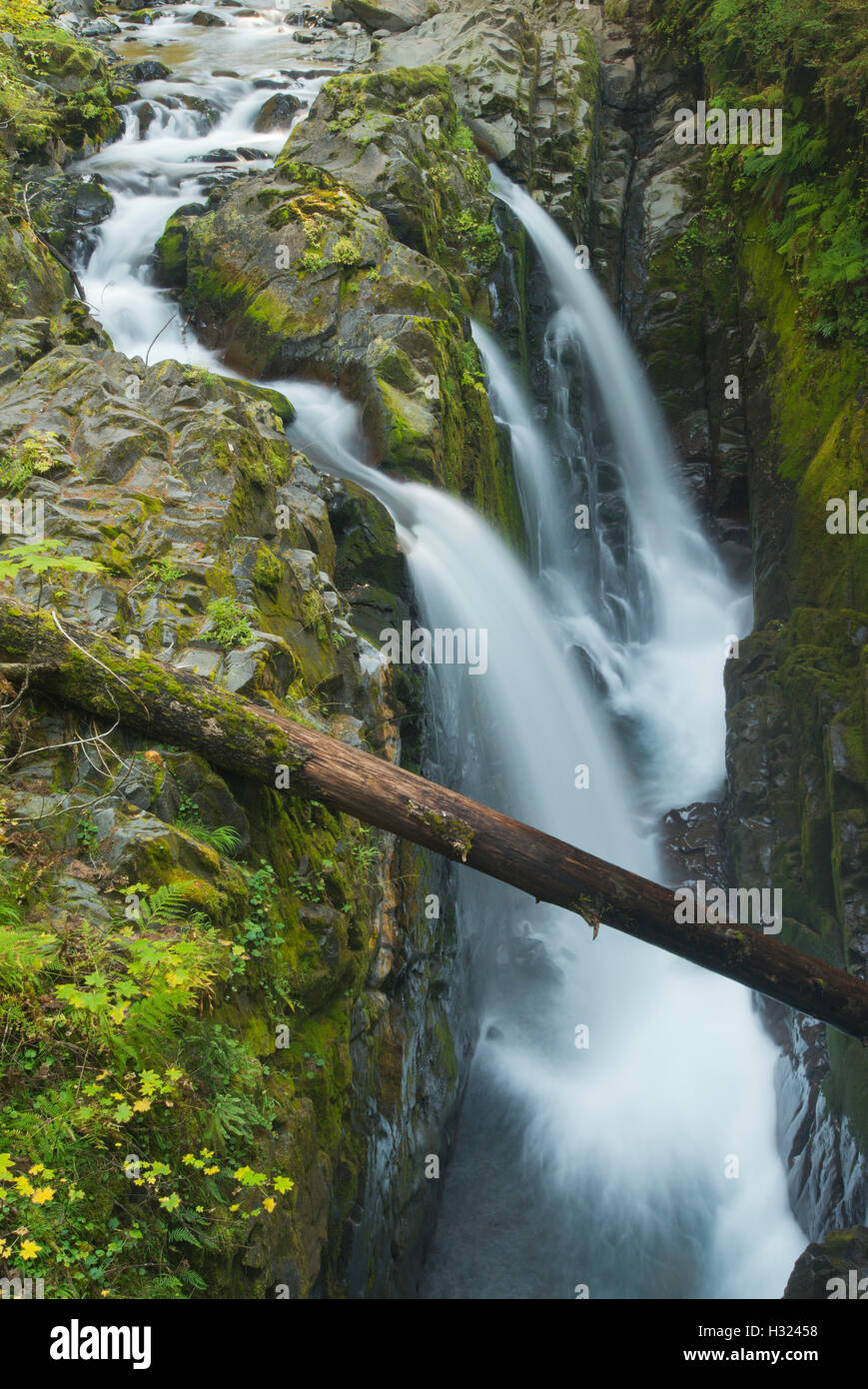 Sol Duc Falls, Sol Duc Fiume, Parco Nazionale di Olympic, Washington Foto Stock