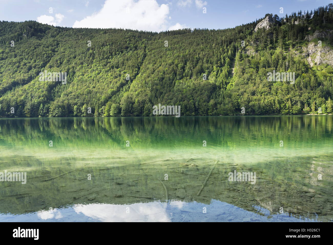 Lago di montagna Vorderer Langbathsee nel Salzkammergut, Austria superiore Foto Stock