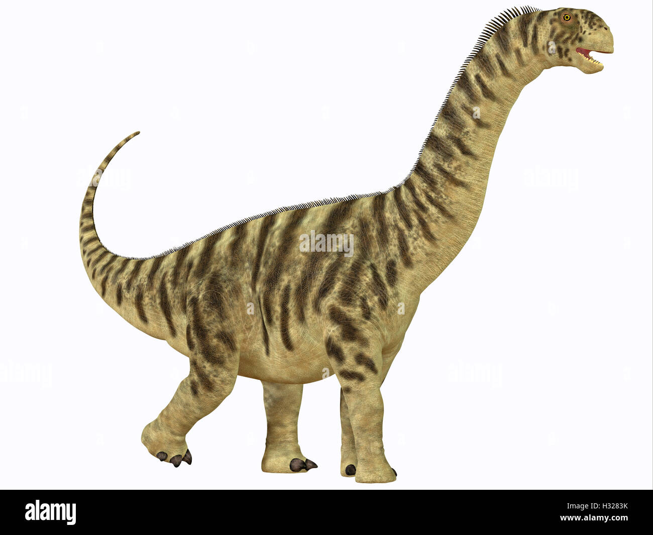 Camarasaurus capretti Foto Stock