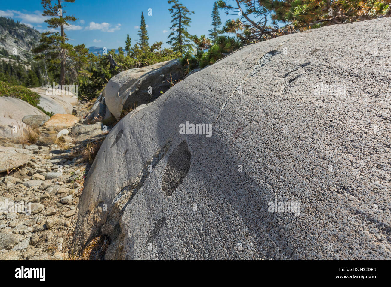 Striature glaciale e levigatura di granito nella desolazione deserto, Eldorado National Forest, California, Stati Uniti d'America Foto Stock