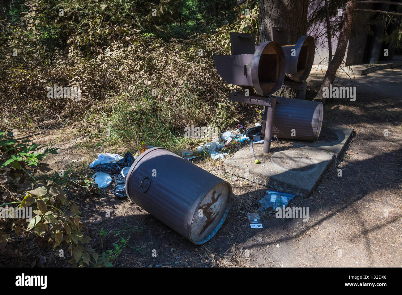 Bearproof immondizia può lacerata da un American Black Bear, Ursus americanus, nel Parco Nazionale di Yosemite in California, Stati Uniti d'America Foto Stock