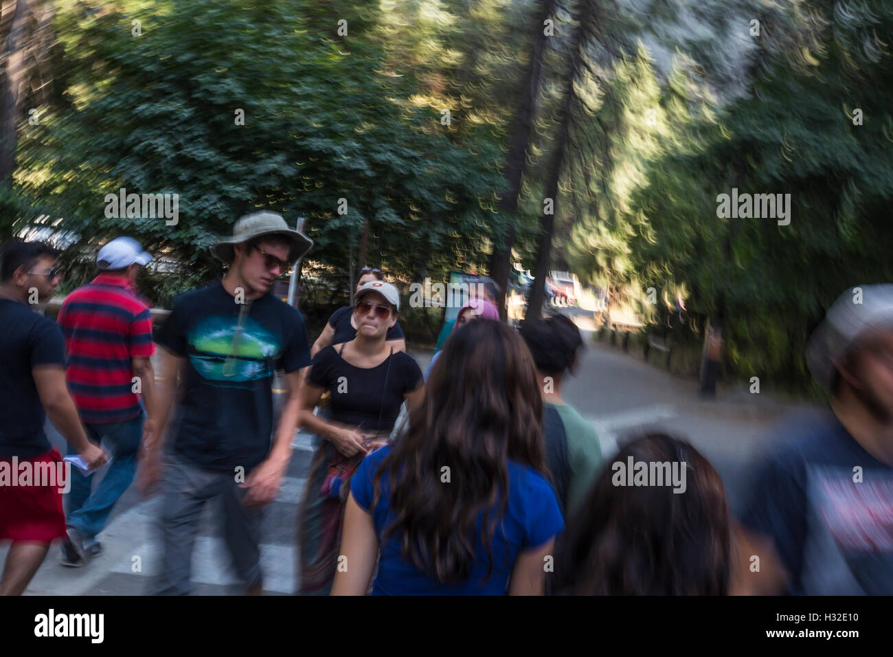 Visitatori attraversamento della strada sotto la direzione di un ranger del traffico nel villaggio di Yosemite, Yosemite National Park, California, Stati Uniti d'America Foto Stock