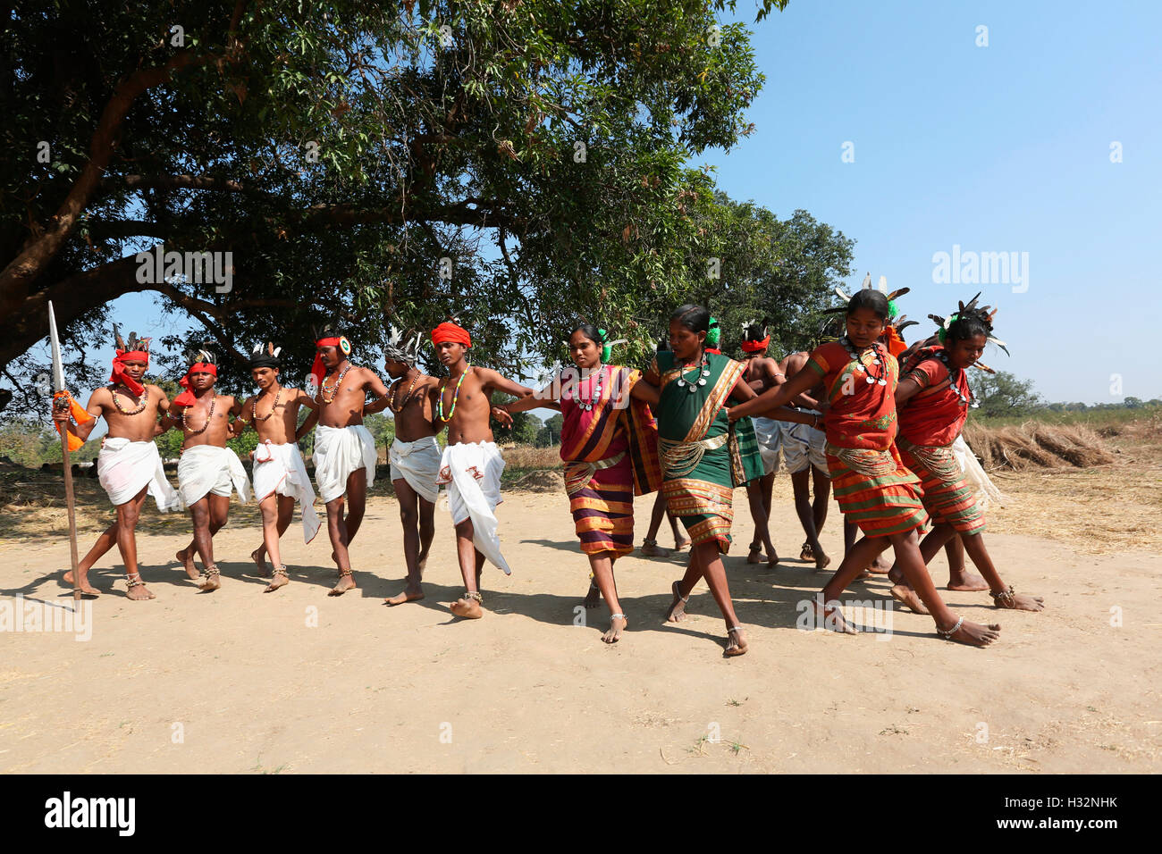 Le popolazioni tribali di eseguire Ghotul Halaki danza durante la cerimonia di matrimonio, tribù Gond, Chavela Village, Gadchiroli, Maharashtra, in Foto Stock