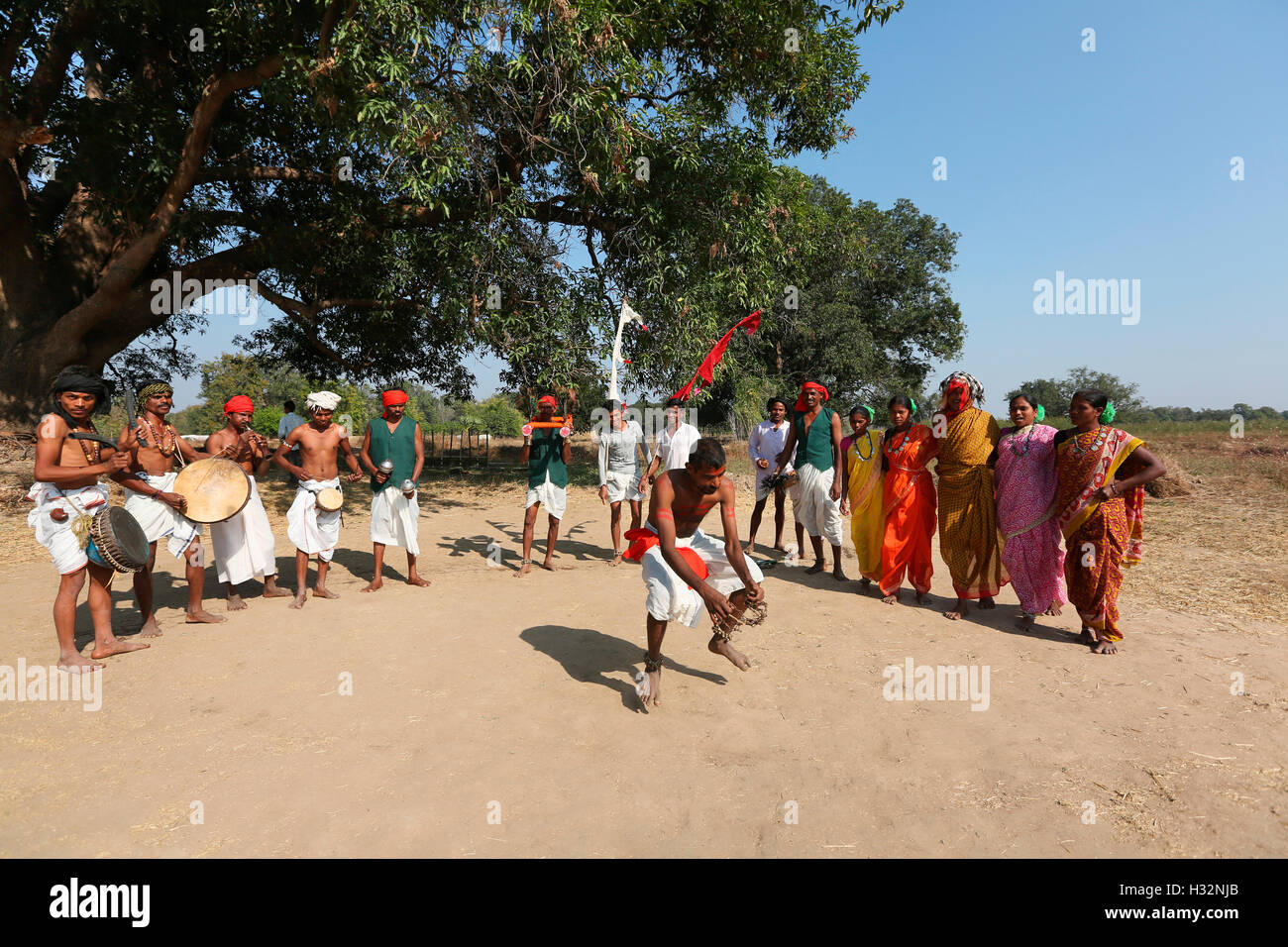 Le popolazioni tribali di eseguire Chaitra danza Manje (Dev Pooja), tribù Gond, Chavela Village, Gadchiroli, Maharashtra, India Foto Stock