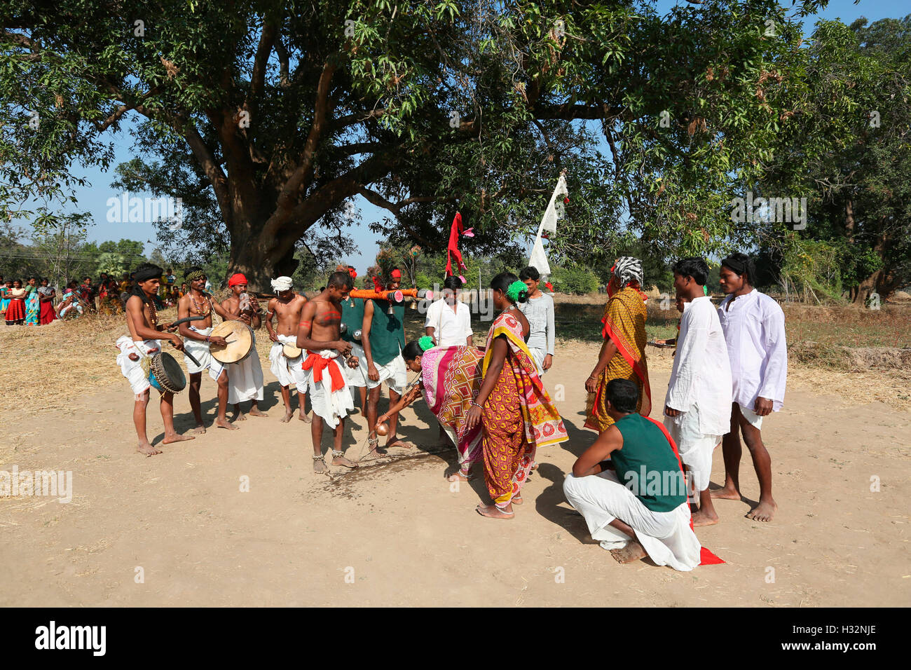 Le popolazioni tribali di eseguire Chaitra danza Manje (Dev Pooja), tribù Gond, Chavela Village, Gadchiroli, Maharashtra, India Foto Stock