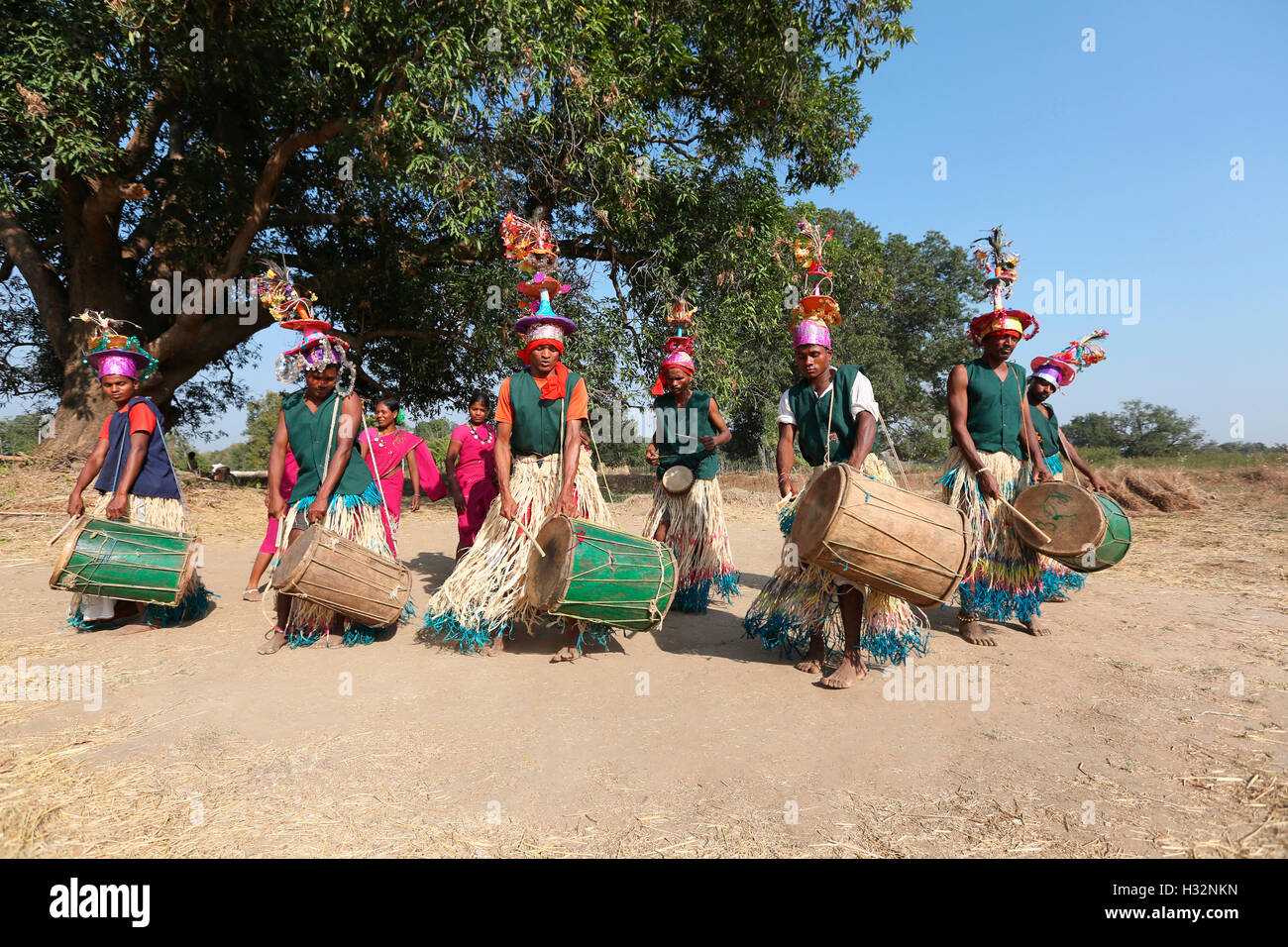 Le popolazioni tribali di eseguire Karsal, Dhol danza, tribù Gond, Chavela Village, Gadchiroli, Maharashtra, India Foto Stock