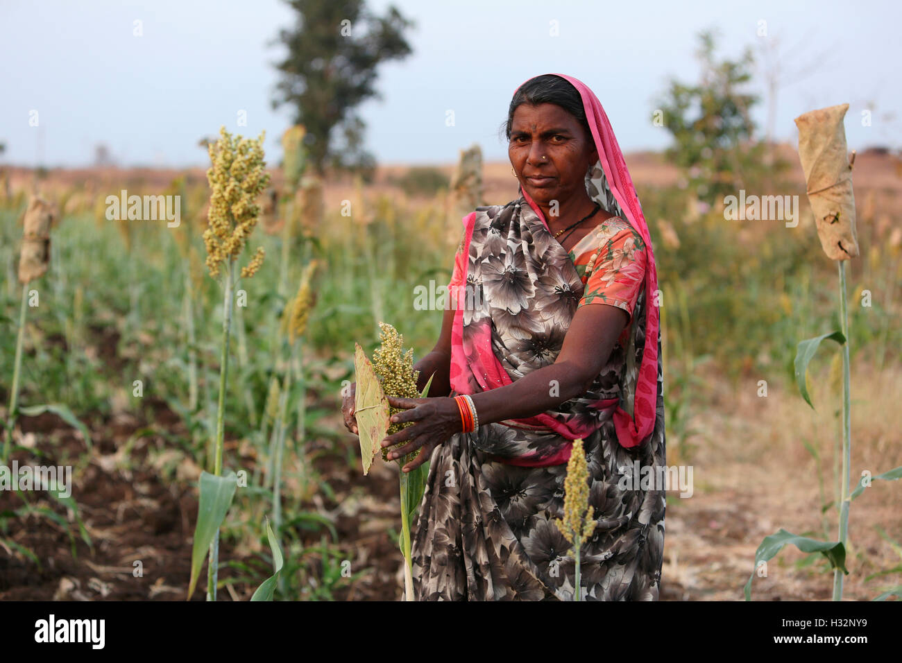 La donna nel campo, KORKU tribù, Melghat, DIST, Amrawati, Maharashtra, India Foto Stock