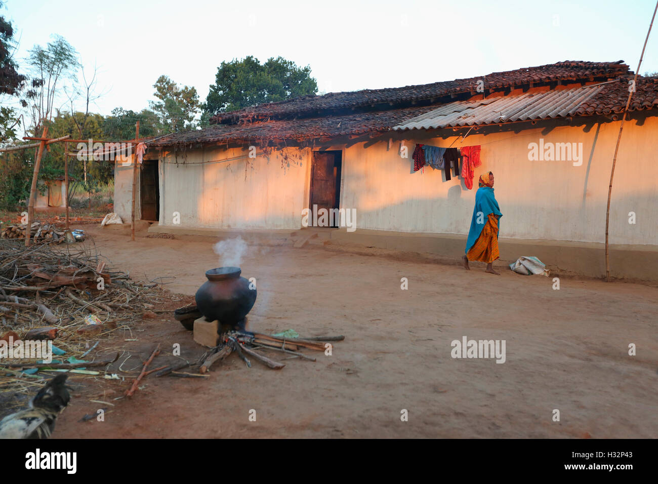 Tradizionale casa di fango, NAGESIA tribù, Lamgoan Village, Tahasil Lundra, Distretto Sarguja, Chattisgarh, India Foto Stock