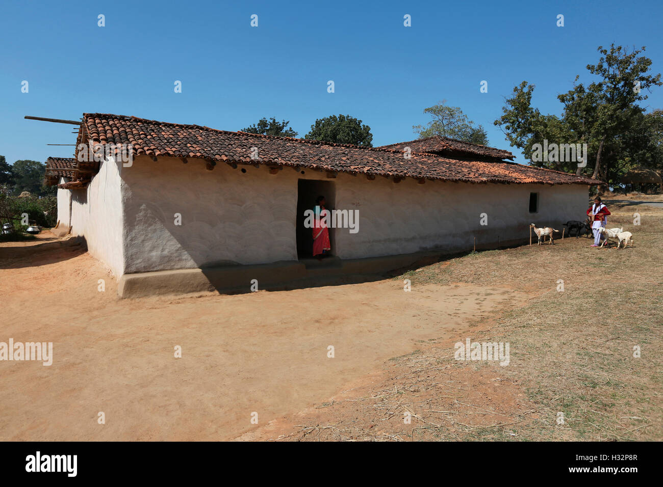 Tradizionale casa di fango, tribù ORAON, Purkela Village, Taluka Lundra, Distretto Sarguja, Chattisgarh, India Foto Stock