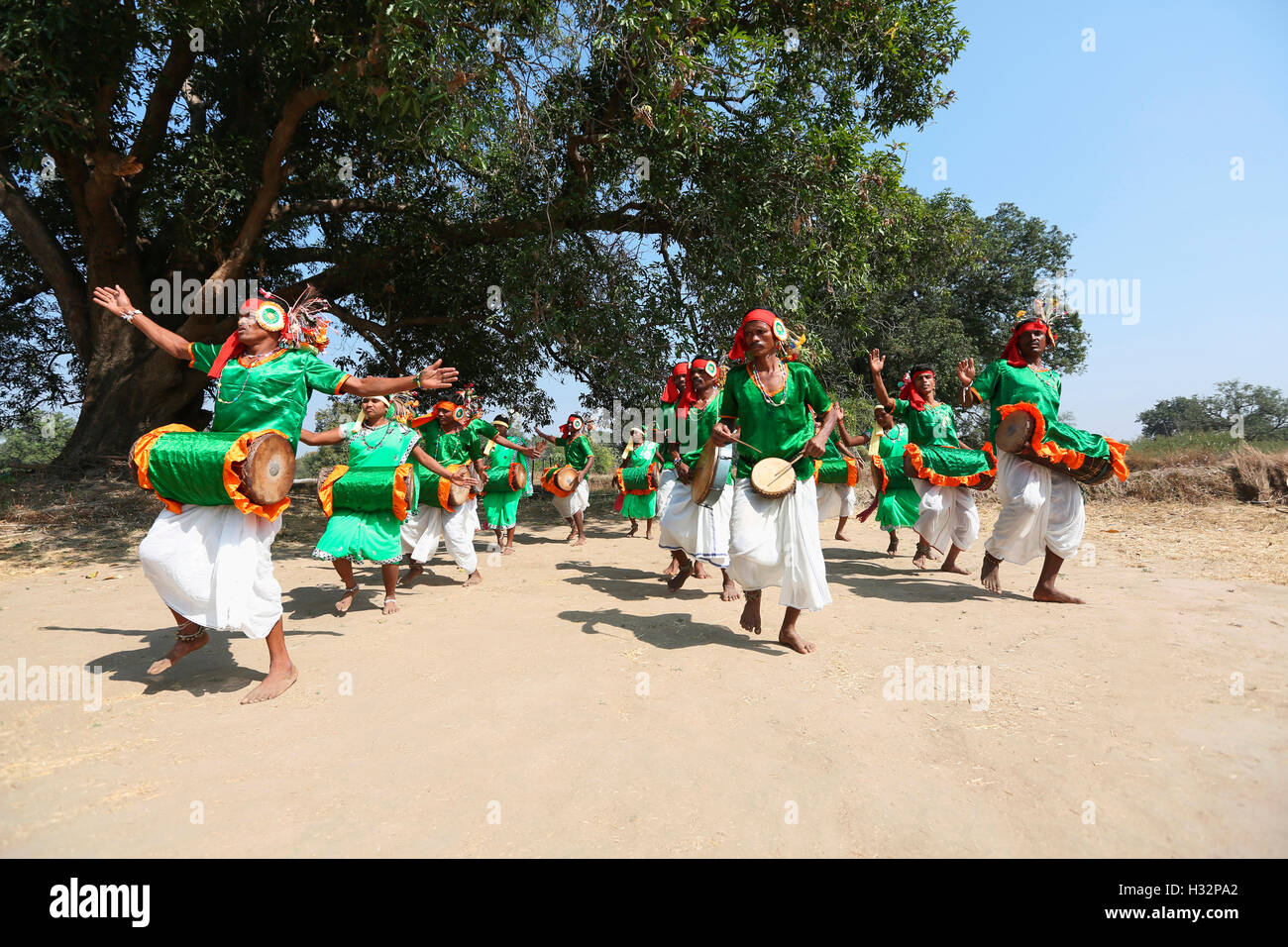 Le popolazioni tribali di eseguire para la danza durante la cerimonia di matrimonio, tribù Gond, Chavela Village, Gadchiroli, Maharashtra, India Foto Stock