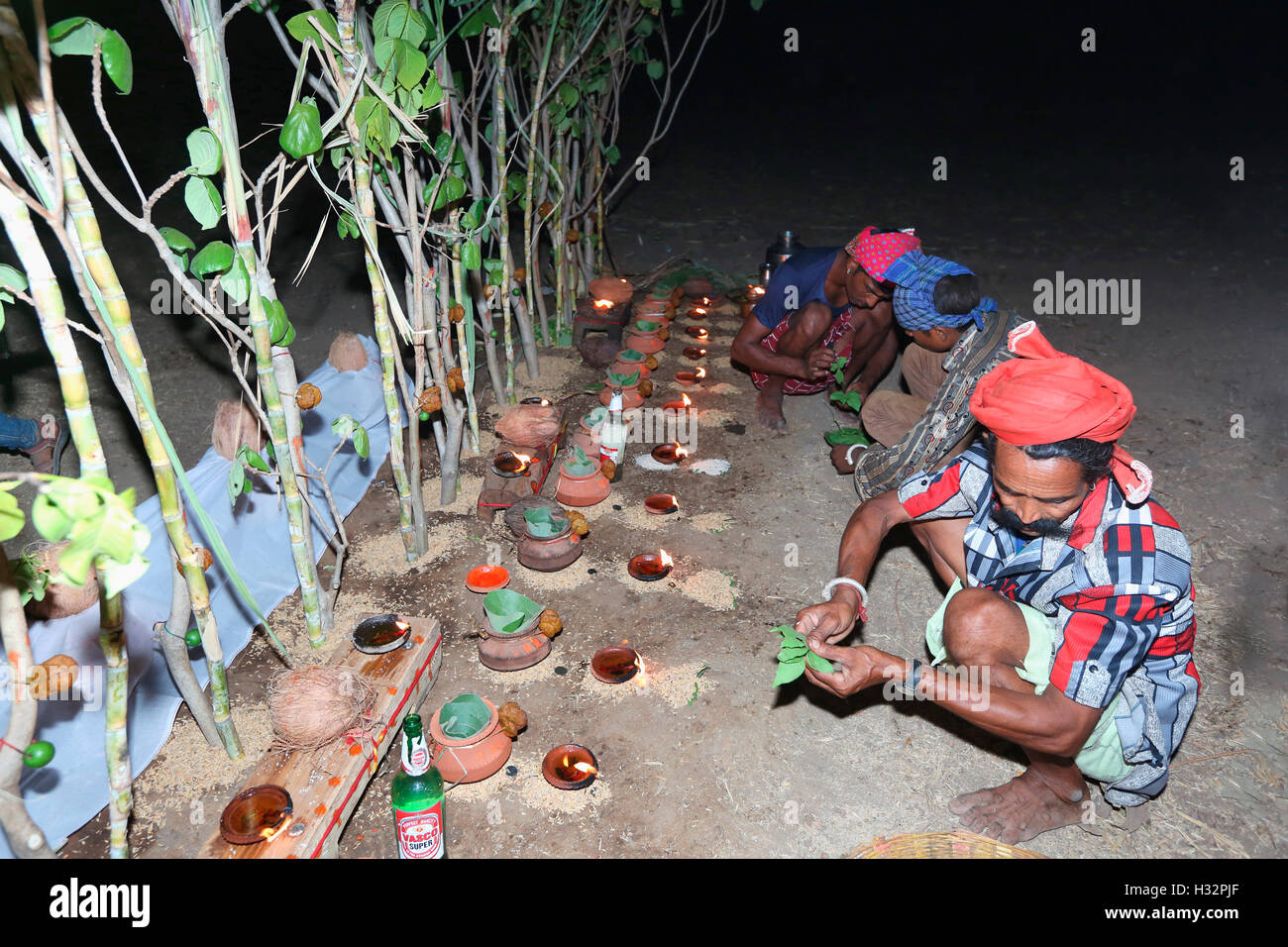 Cerimonia Pithora, rami di alberi per il culto, RATHAWA tribù, Chiliyawat Village, Distretto Chhota Udipur, Taluka, Chhota Udipur, G Foto Stock