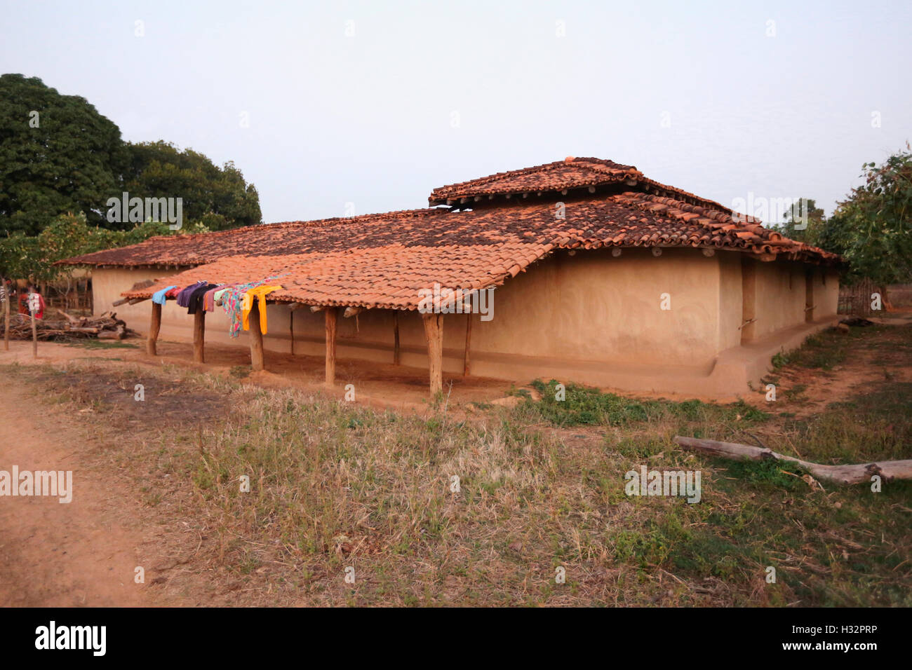 Casa tribali, Khairwar tribù, casa tradizionale villaggio Chiniya, Dist Balrampur, Chattisgarh, India Foto Stock