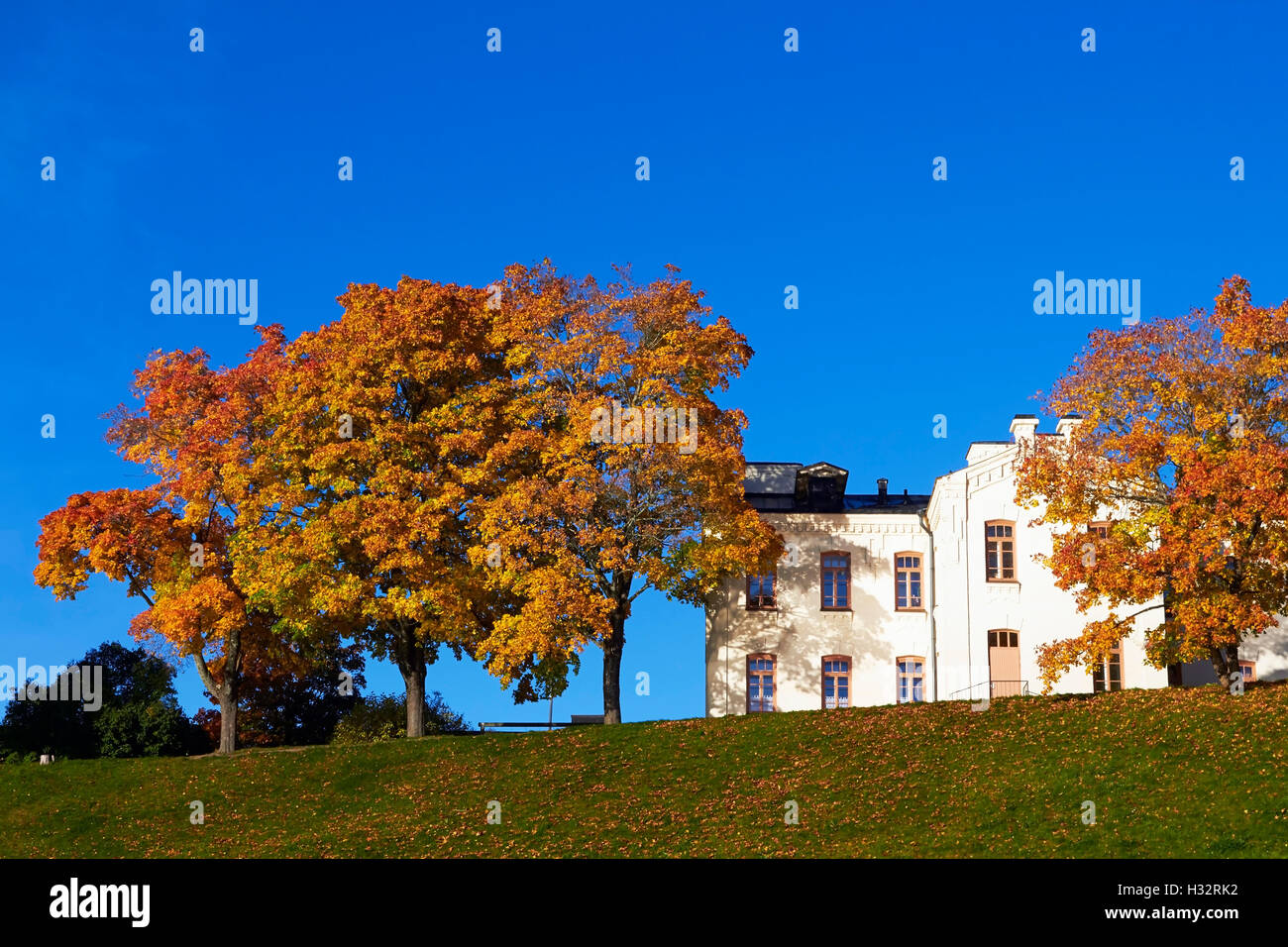 Paesaggio autunnale, Lappeenranta FINLANDIA Foto Stock