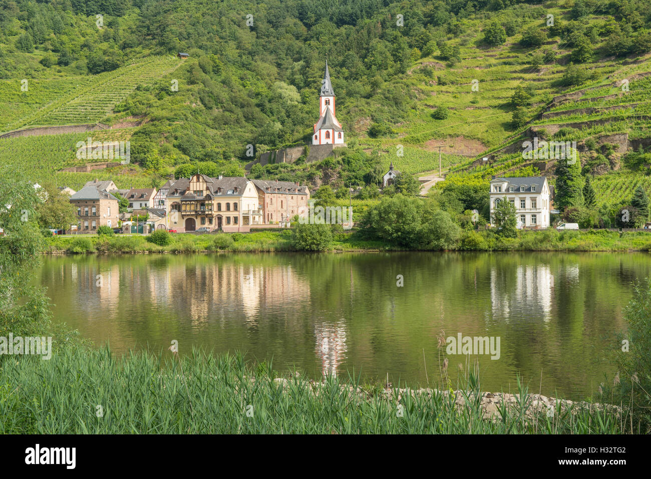 Sul Fiume Mosella riflessioni, Oberfell, Renania-Palatinato, Germania Foto Stock