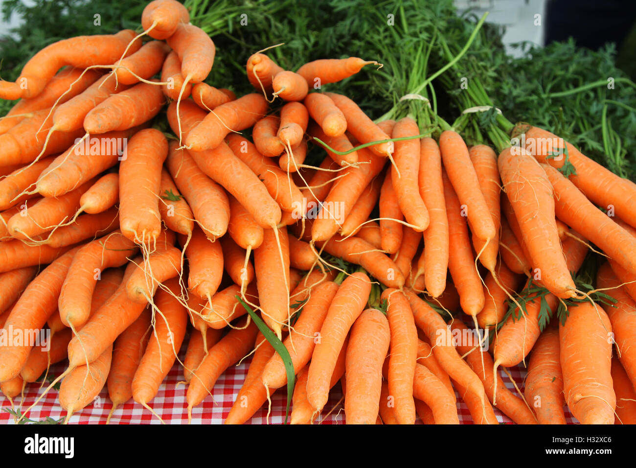 Appena raccolto le carote sul dsplay Foto Stock