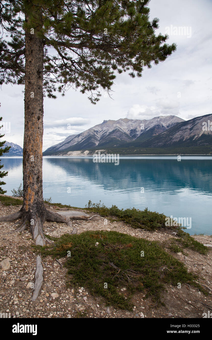 Una vista dalla riva del lago di Abramo su un nuvoloso pomeriggio d'autunno. Foto Stock
