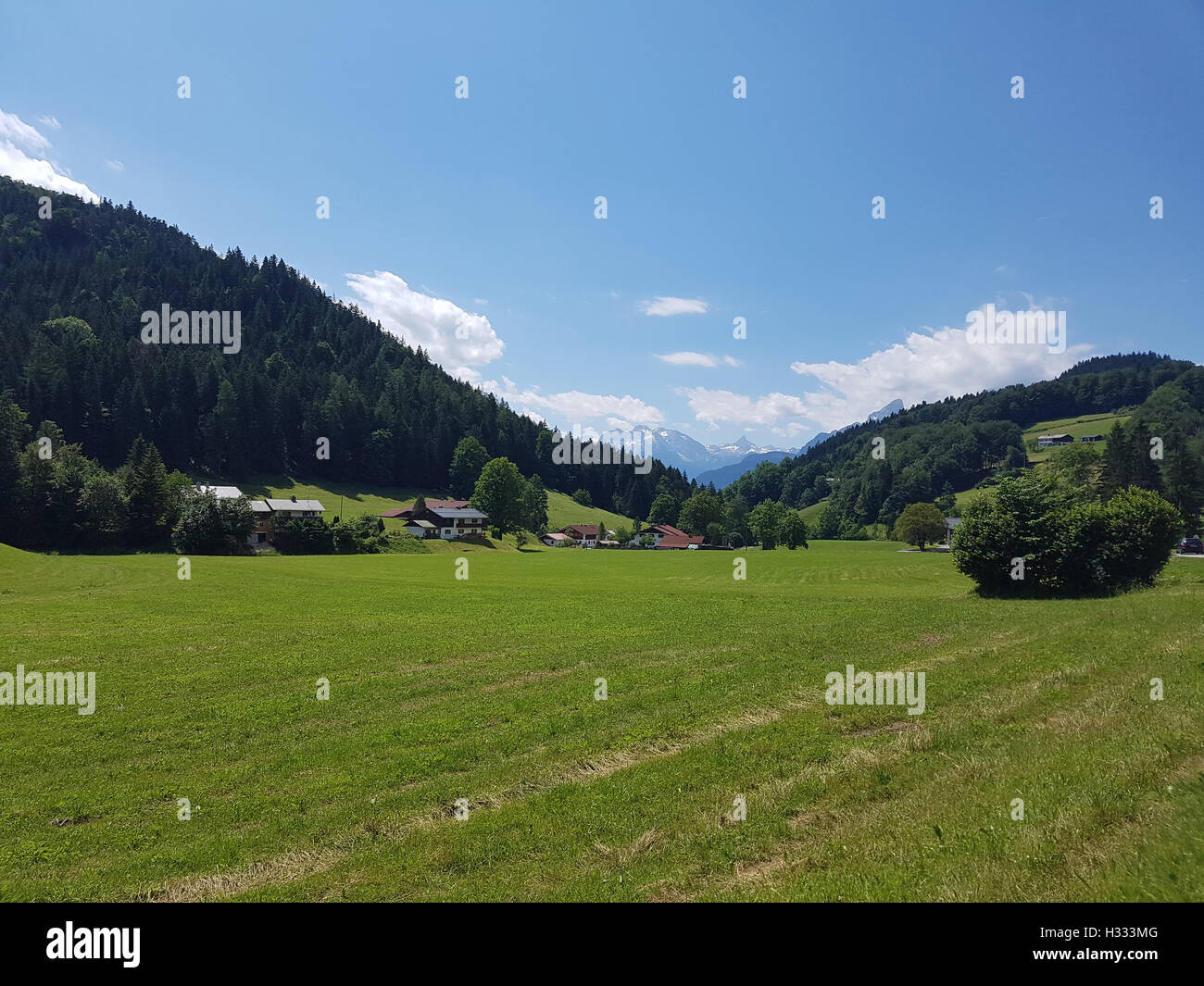 Bergidyll, Maria Gern, Wiesen, almen, Berge, Foto Stock