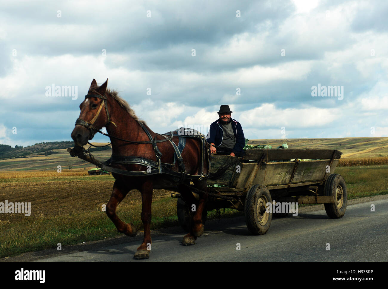 Un giovane rumeno a cavallo il loro cavallo carrello nelle zone rurali la Moldavia, Romania. Foto Stock