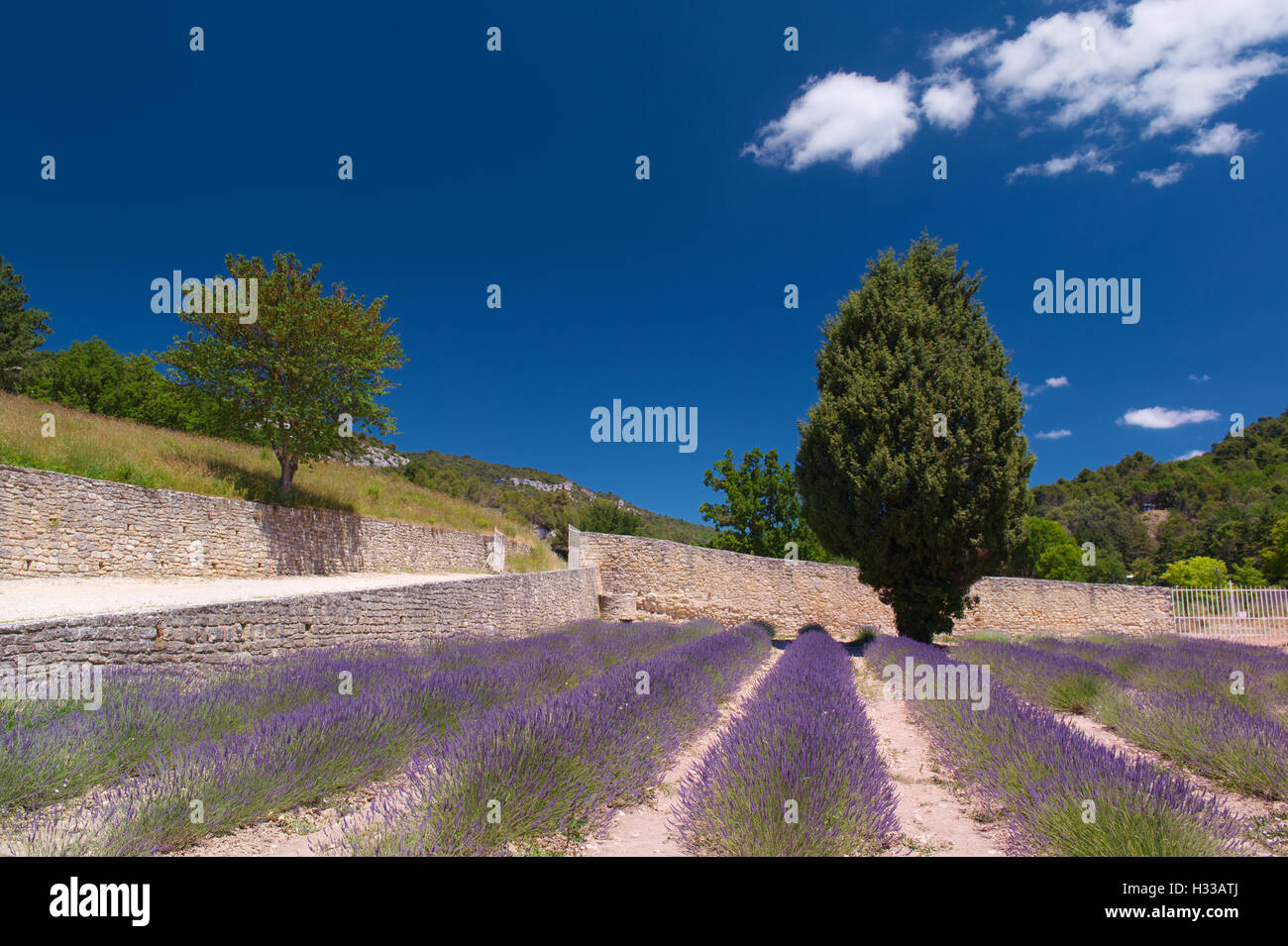 Paesaggio di Luberon francese Foto Stock