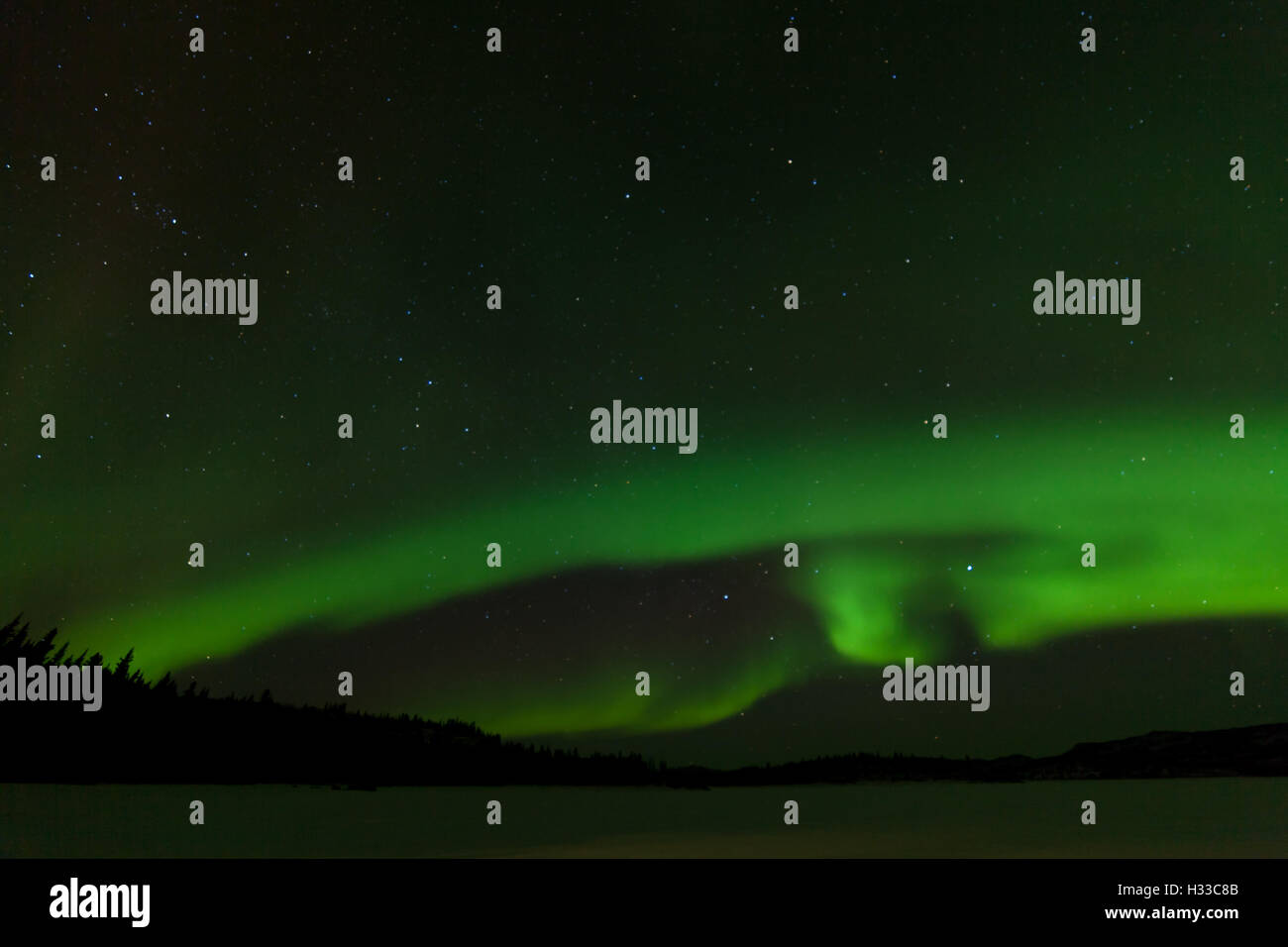 Lago ghiacciato Laberge Aurora boreale cielo notturno Foto Stock